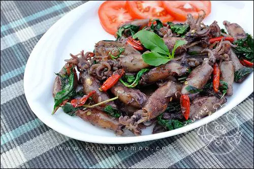 ผัดกะเพราหมึกกะตอย เมนูอาหารอร่อยๆ