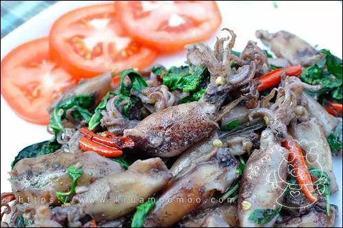 ผัดกะเพราหมึกกะตอย ความอร่อยที่รอให้กิน