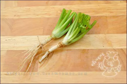 รากผักชี