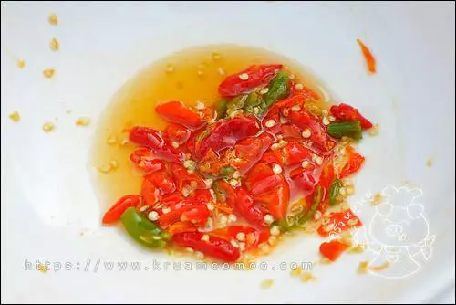 พักไว้